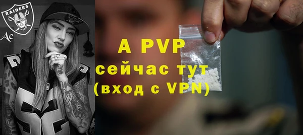 трава Пересвет