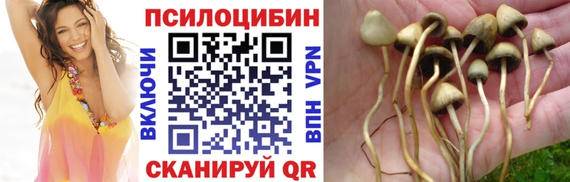Галлюциногенные грибы GOLDEN TEACHER  KRAKEN   Рязань  продажа наркотиков 